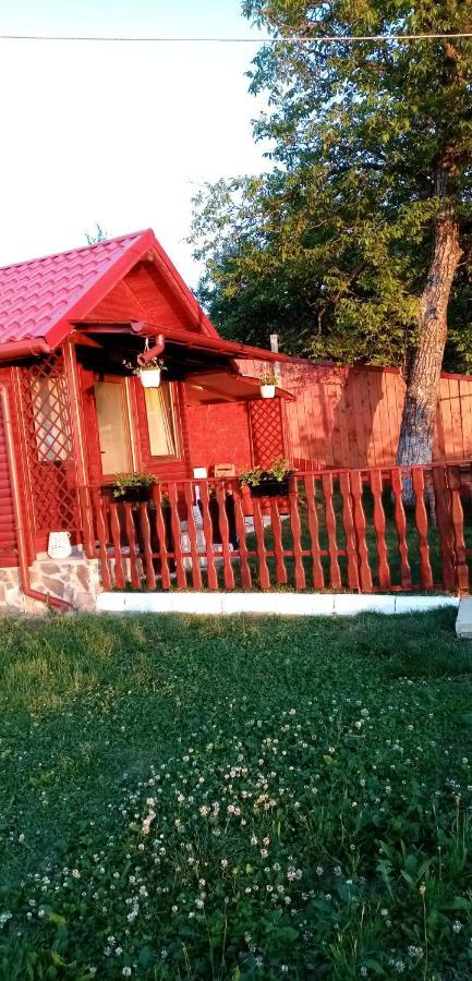 Pensiunea Tinelu Brasov Săcele エクステリア 写真