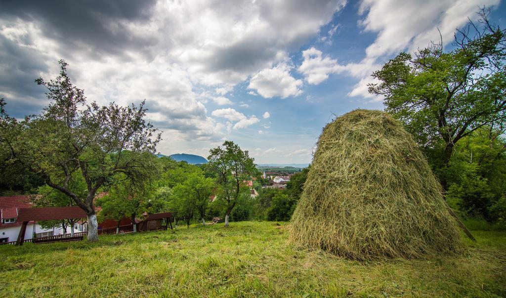 Pensiunea Tinelu Brasov Săcele エクステリア 写真